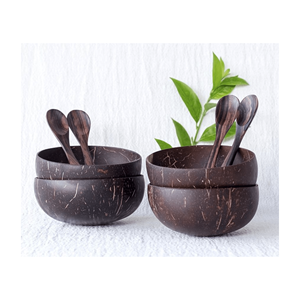 Vente en gros de bols en coquille de noix de coco Design Salade Smoothie ou coquille de noix de coco bol/bol de service Artisanat unique gravé/bol en noix de coco - Product Image 3