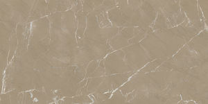 Homogenuos High Pixel conçoit des carreaux de porcelaine vitrifiés en Inde pour le hall de l'hôtel. - Product Image 3