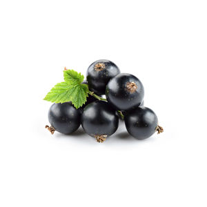 Grosellas negras naturales disponibles para el procesamiento y envasado comercial de alimentos - Product Image 6