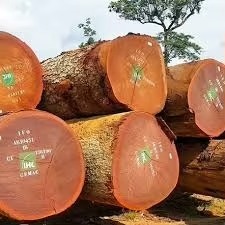 Doussie de madera/Materia Prima para pisos/troncos cuadrados/KD/AD/S4S/madera fresca - Product Image 6