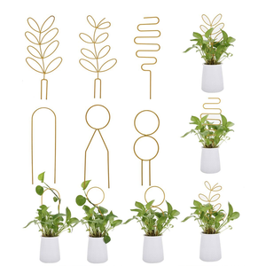 Conjunto de enrejado de metal circular para guiar las vides en macetas, creando una pantalla ordenada y elegante. Mayorista - Product Image 5