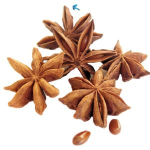 ANIS ÉTOILE NATUREL POUR ASSAISONNEMENT DE L'EXPAD VIETNAM ÉPICES D'ANIS ÉTOILE POUR ARÔME ALIMENTAIRE - Product Image 1
