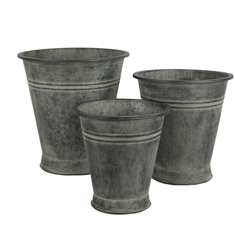 ตามที่แสดง