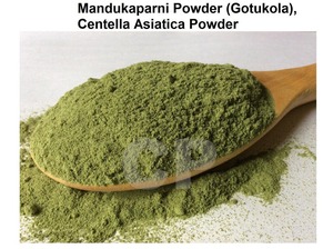 ผงเรืองแสงธรรมชาติ Gotu Kola (mandukaparni) ยาอายุรเวทแบบดั้งเดิมสำหรับสุขภาพจิต - Product Image 2