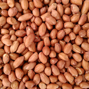Cacahuetes orgánicos de primera calidad 60/70 sin OGM sin pesticidas crudos de Gujarat para mantequilla de maní y estilo seco para asar - Product Image 4