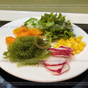 VENTE CHAUDE Algues marines séchées du Vietnam Caulerpa Lentillifera Superaliment naturel Haute valeur nutritive Écologique - Product Image 1