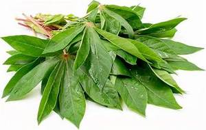 IMPULSO DE NUTRICIÓN EN BASE VEGETAL VERDE NATURAL DE HOJAS DE YUCA CONGELADAS PREMIUM - Product Image 5