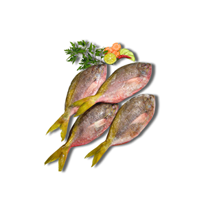 Filet de poisson jaune entier surgelé, fruits de mer frais de première qualité, en vrac, IQF, exporté du Vietnam, prix compétitif, durée de conservation de 24 mois - Product Image 1