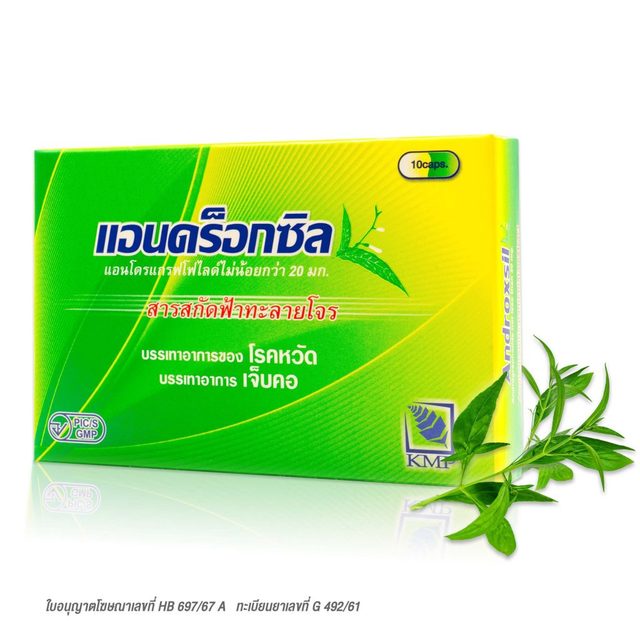 Hot Selling Wild Androxsil 20mg Andrographolide Solvent Extracted Aerial Part Capsules Andrographis Paniculata Herbal Extract