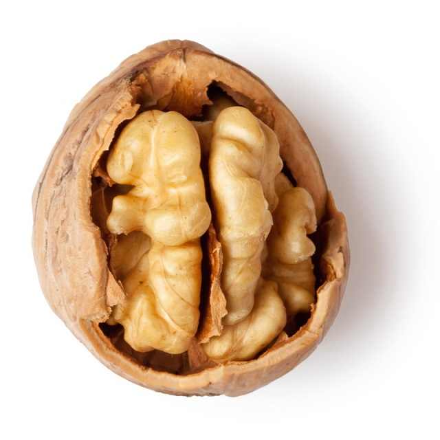 Premium Grade Walnut Kernels Without Shell Organic Raw Light Halves Peeled Walnuts