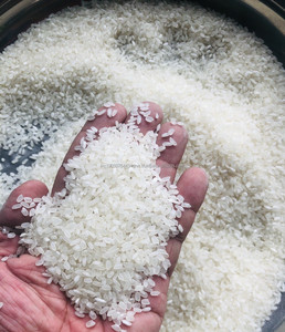 Riz Calrose vietnamien en vrac Texture dure Style séché Top produit potentiel du sud du Mékong vente en gros - Product Image 3