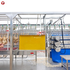 Équipement de Découpe de Poulets Local aux Philippines, Ligne de Production de 300 à 800 Poulets, <span class=keywords><strong>Prix</strong></span> Bas, Aucun Installation Requise - Product Image 4