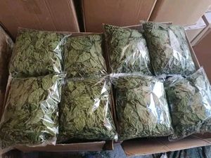 Feuilles de jute sèches du delta du Vietnam, poudre de feuilles de jute sèches, 4 oz, feuilles de molokhia de haute qualité, molokhia séchée ANGLE - Product Image 4