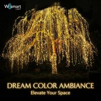 Guirlande lumineuse LED intelligente RGB Dream Color 5V USB, 5M, IP65, étanche, contrôle par application, synchronisation musicale, fil de cuivre, décoration de Noël