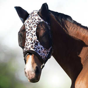 Venta al por mayor de calidad estándar caballo inglés de cuero anatómico brida equitación ecuestre disponible a precio a granel - Product Image 4