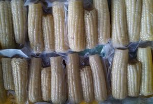 Trozos de Maíz Congelados - Maíz Congelado de Calidad de Exportación - Maíz Congelado - Product Image 4