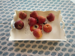 ผ้าปูโต๊ะผ้าฝ้ายแท้พิมพ์ลายแบบแฮนด์เมดสไตล์บ้านไร่อินเดียพิมพ์ลายใบไม้สีฟ้าสำหรับงานแต่งงานและใช้ในบ้าน - Product Image 2