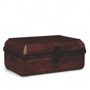 Wooden Iron <b>Trunk</b> - Product Image 1