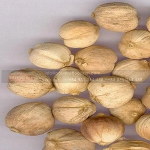 Épice aux herbes de cardamome blanche naturelle de haute qualité séchée et en poudre des exportateurs vietnamiens - Product Image 2