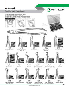 Jeu de forceps d'extraction dentaire professionnels Instruments de chirurgie buccale ISO 13485 certifié CE OEM à faible quantité minimale de commande disponible - Product Image 4