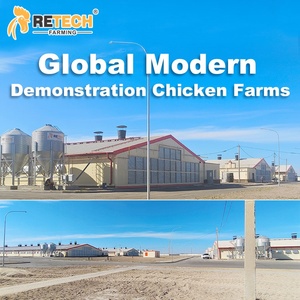 30000 lớp hiện đại gia cầm nhà thiết kế h loại trứng đẻ gà pin lồng nuôi hệ thống với ánh sáng - Product Image 4