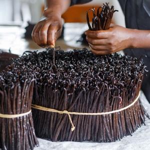 Vente en gros 2kg de gousses de vanille de Madagascar Fournisseur d'usine Emballage en vrac de gousses de vanille à vendre - Product Image 4