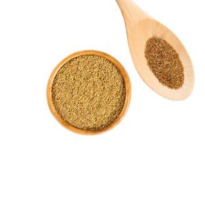 Alfalfa | Cultivo forrajero Premium para rebaños lecheros - Product Image 6