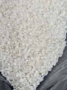 ImporTEXPORT Direct Factory Wholesale Japonica Sushi Rice Textura suave y húmedo Delicioso para minoristas Mejor precio garantizado - Product Image 3