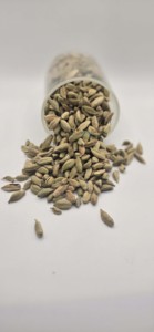 Cardamome fraîche crue de haute qualité de Tanzanie avec un goût vert et fort Durée de conservation de 2 ans Prix entier direct - Product Image 2