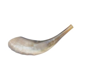 Marque faite sur commande d'OEM Shofar naturel fait à la main-bas quantité minimale de commande pour le cadeau et les magasins religieux - Product Image 2