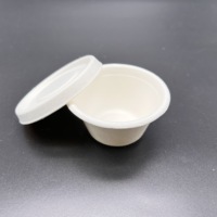 Boîte de Sauce à Bagasse biodégradable, taille et couleur personnalisées, prix de gros, fabriqué au Vietnam, marque plus riche