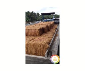 เส้นใยมะพร้าวคุณภาพสูง: 100% จากธรรมชาติเพื่อการเกษตรและการผลิตส่งออกจากผู้จำหน่ายชั้นนำของเวียดนามทั่วโลก - Product Image 4