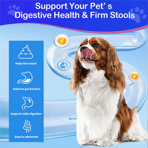 פרטי תווית ג 'ל-ליזין לג' ל-טיפול בריאות לחיות מחמד & תוספת מומלצת על ידי vets - Product Image 3