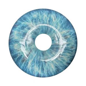 Lampe en résine en bois massif, ornement de bureau Ocean Whale Diver, veilleuse lumineuse, cadeau d'art mural à vendre, style de luxe - Product Image 6