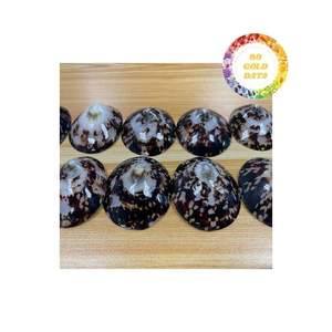 Conchas de Lapa de alta calidad Fuente a granel para la fabricación de joyas y la decoración del hogar con precio competitivo y exportación confiable - Product Image 2