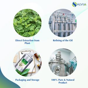 100% aceite esencial de artemisa puro y natural al por mayor embalaje personalizado a granel precio bajo - Product Image 4