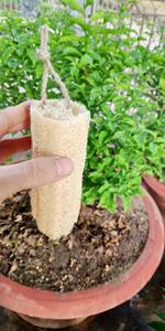 Éponge luffa séchée pour le nettoyage/luffa à vendre du Vietnam or 99 - Product Image 5