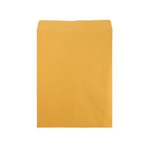 Custom Logo Durable Air Bubble Envelope Mailer Bag Shipping Packaging Kraft <b>Paper</b> Bubble <b>Padded</b> Envelope 8# 92 X 220 mm Double w - Product Image 3