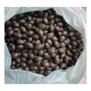 GRANDE AFFAIRE ET MEILLEURE OFFRE DE 99 GD POUR LES GRAINES DE LOTUS NOIR USINE DE NOIX ET DE GRAINES SÉCHÉES NATURELLES - Product Image 3