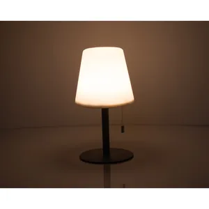 Lampe d'extérieur Carl, ornements de jardin personnalisés, gadgets - Product Image 2