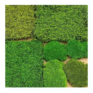 1*1Real Moss Panel Preserved Living wall Green Art Eco-friendly Natural Moss Wall for Home Decor