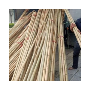 Postes de bambú duraderos para proyectos al aire libre e interiores Ecológicos y rentables - Product Image 1