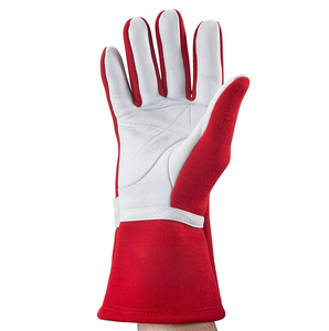 Proveedor OEM Pakistán Transpirable Go Kart Conducción al aire libre Karting personalizado Guantes de carreras Pro Calidad Logotipo personalizado - Product Image 1