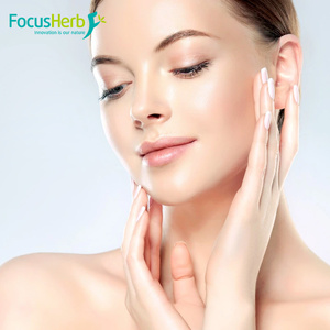 FocusHerb Wholesale Price Bulk Food Grade Nicotinamide Riboside Chloride NR <strong>Powder</strong>