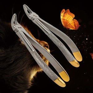 Kit de instrumentos quirúrgicos dentales Fórceps de extracción de dientes manuales para procedimientos de dentista Fórceps de extracción de dientes Pakistán Sialkot - Product Image 1