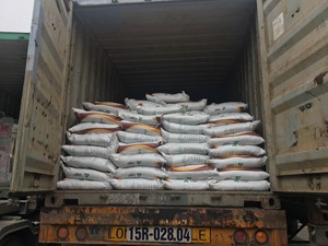 Fertilizante DAP P2O5 16% de alta calidad, Polvo granular FMP fabricado en Vietnam para agricultura, fosfato de magnesio fundido - Product Image 3