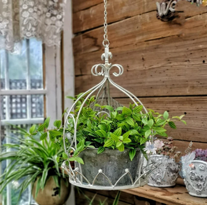Rayan International Customized Iron Hanging <b>Basket</b> Potted Flower Stand - Product Image 3