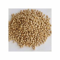 Grains de soja crus de bonne qualité sans OGM de haute qualité en sacs graines de soja en vrac organiques