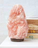Lampe artisanale en sel rose de l'Himalaya avec gradateur réglable, base en bois sculpté et bol artistique, pièce de décoration de maison élégante