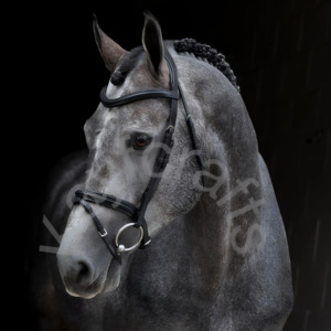 Mềm độn ngựa Bridle với có thể tháo rời <span class=keywords><strong>aachen</strong></span> dây đeo noseband crownpiece và cong trán ban nhạc kết hợp ngựa sản phẩm - Product Image 2